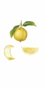 Bergamot website