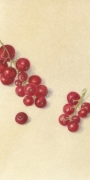 Currants-edited-copy