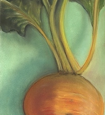 Beet2011_low_res_copy