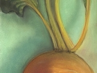 Beet2011_low_res_copy