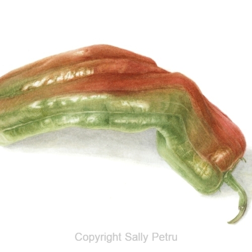 Pepper submission copy