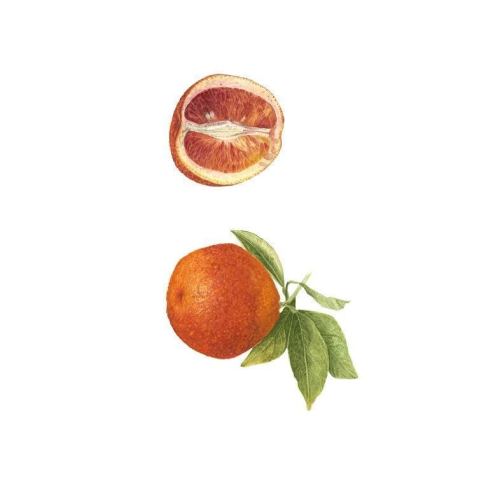 bloodorange